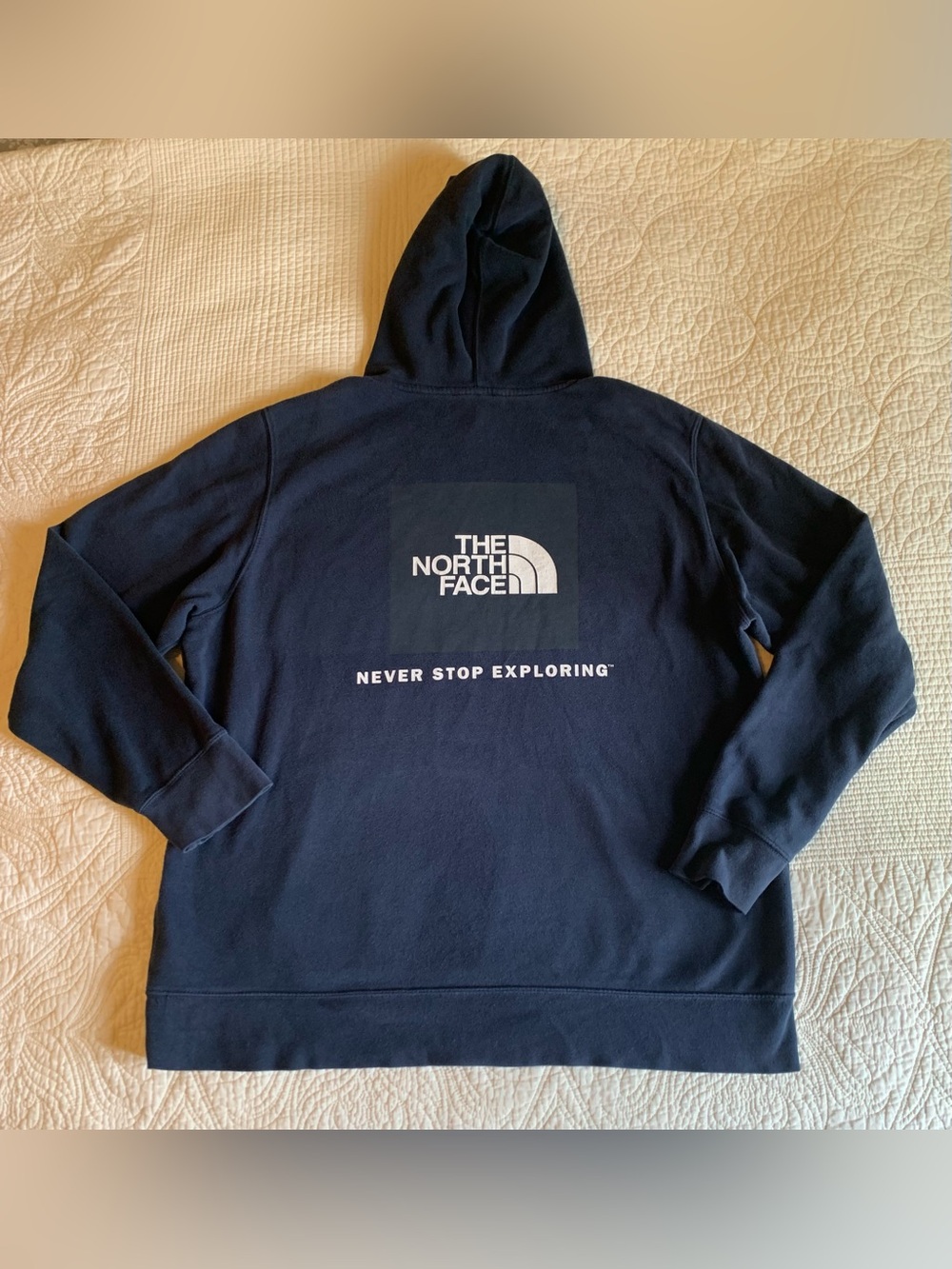 The North Face Evolution Box NSE Hoodie